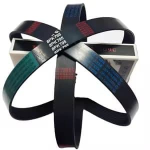 Drive Belt (Serpentine Belt)